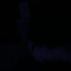 Meet your Posher, Brendon